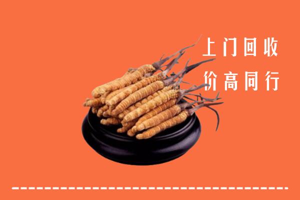 高价求购：万源市回收散虫草