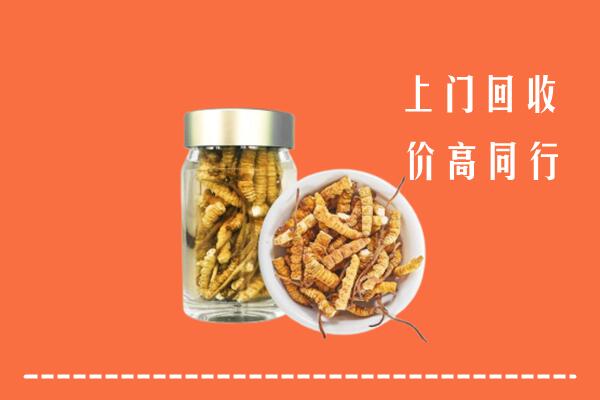 万源市回收冬虫夏草