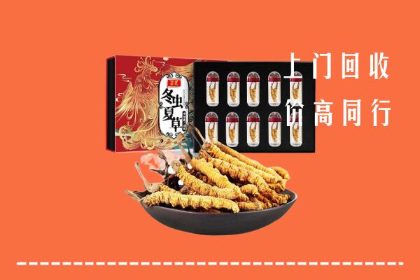 万源市回收虫草